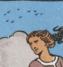 Vogels op de tarotkaart zwaarden schildknaap de betekenis van de vogels in de tarotkaart zwaarden schildknaap